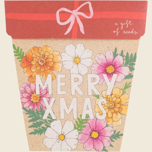 Gift_of_Seeds_Christmas_Blooms1