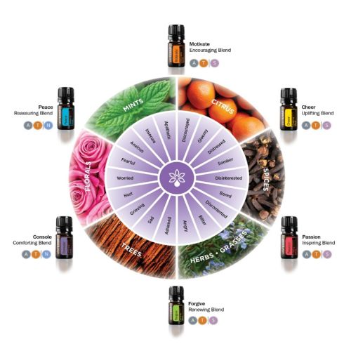 doTERRA Forgive Touch Emotional Essential Oil Blend 10ml Roll On