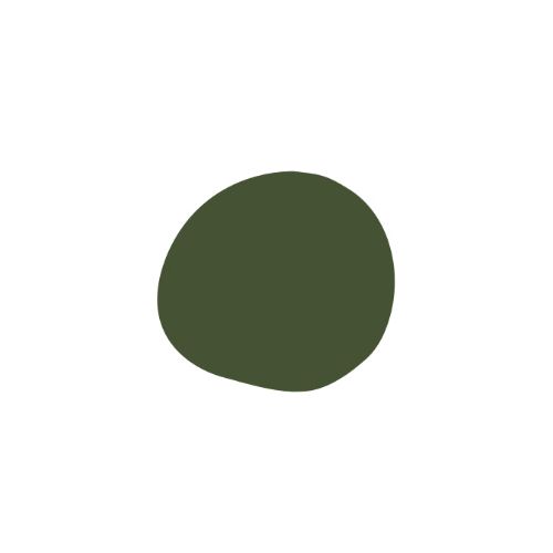 Hanami Nail Polish The Moss 15ml