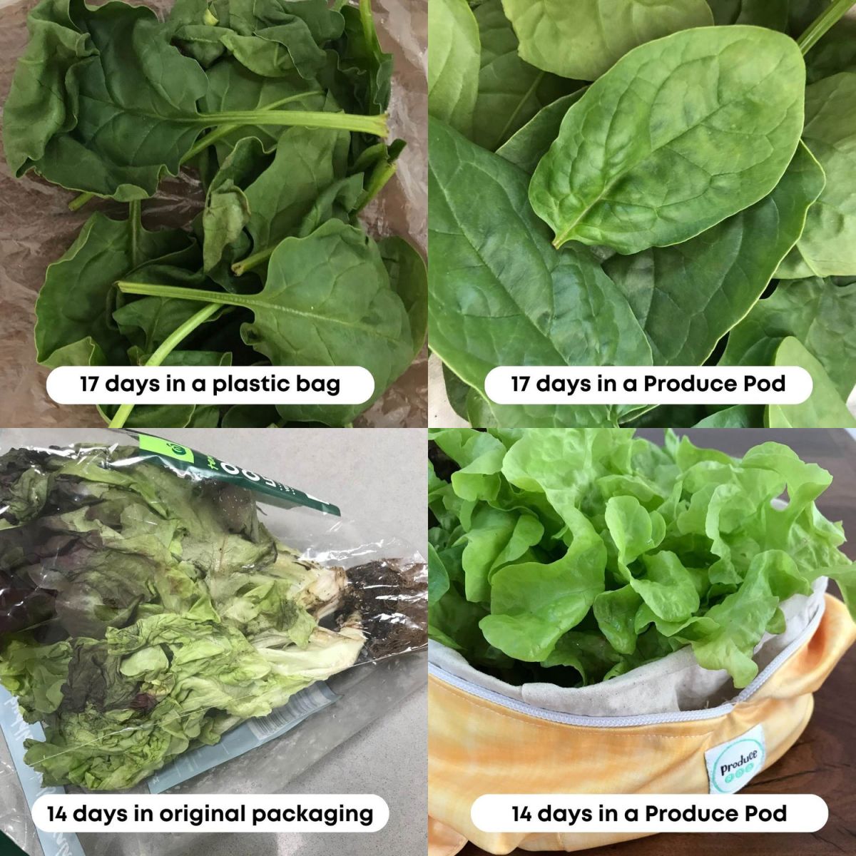 Produce Pod Reusable Produce Bag Gum Leaf