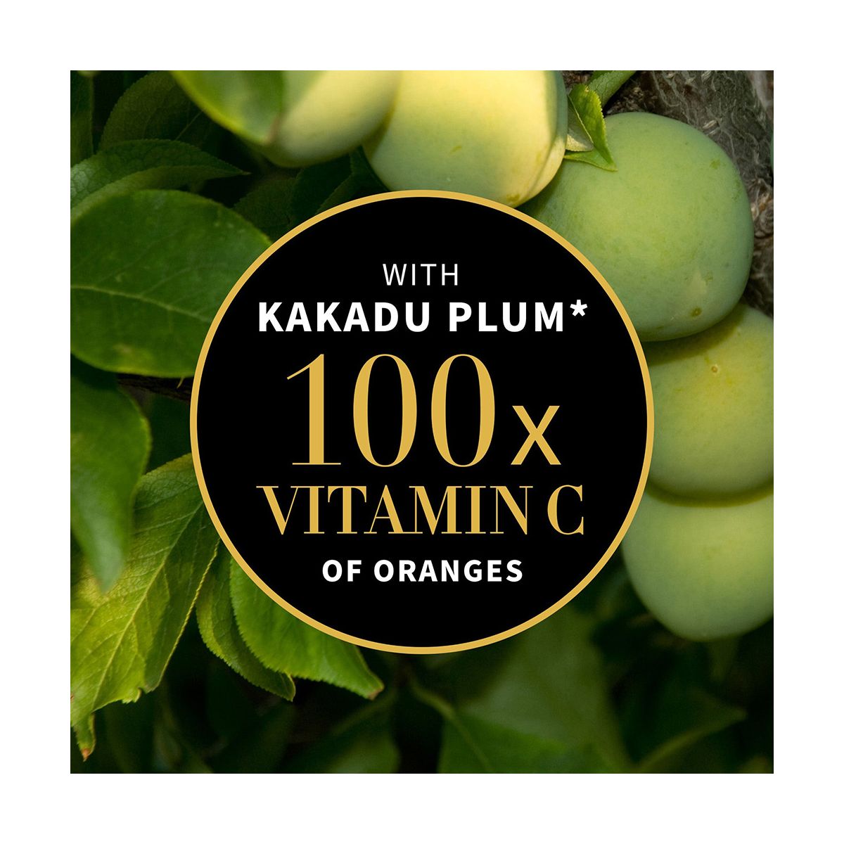 Antipodes Kiwi Seed Gold Eye Cream