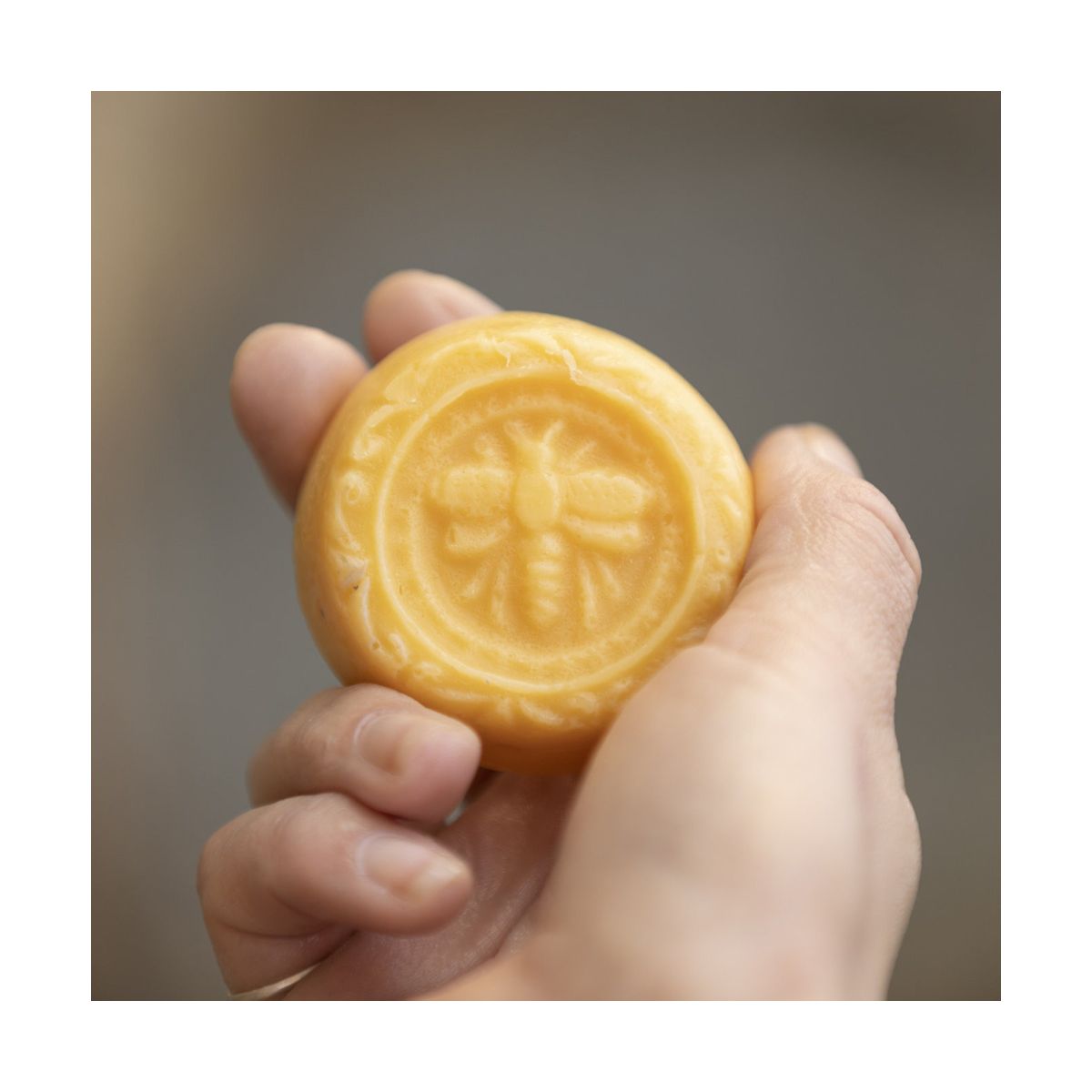 Beauty and the Bees Conditioner Bar Honey Silk 35g