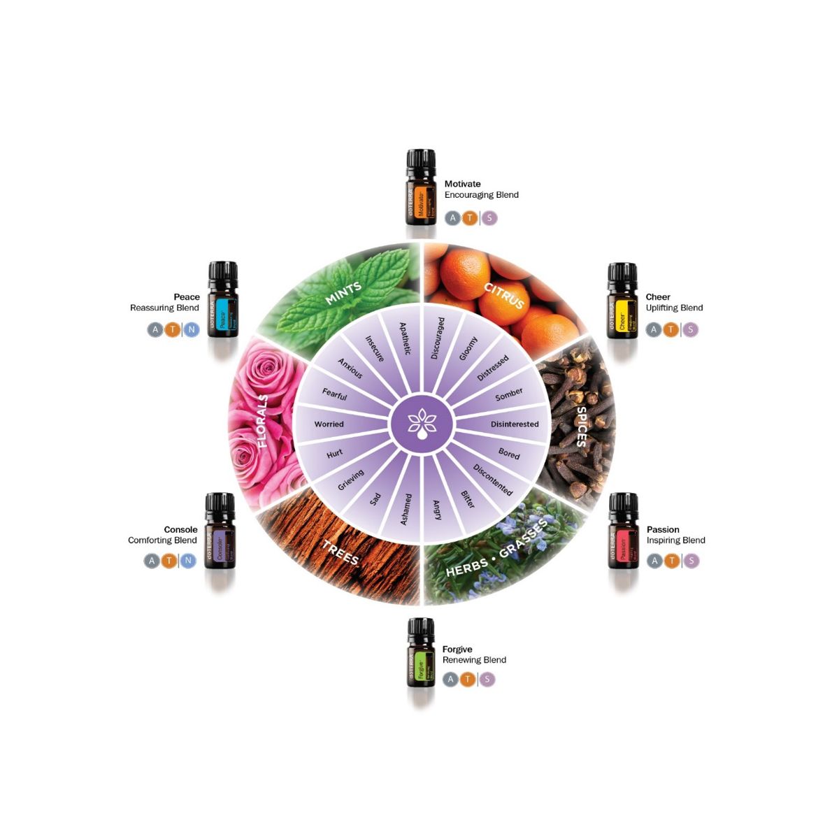 doTERRA Passion Touch Emotional Essential Oil Blend 10ml Roll On