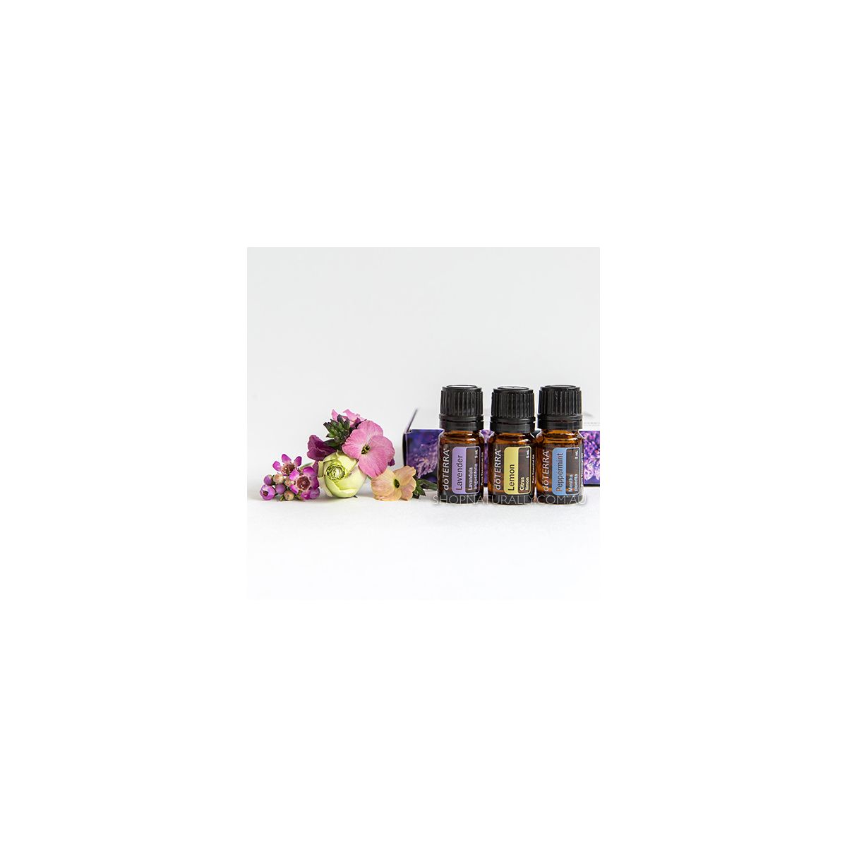Buy doTERRA Intro Kit with 3 essential oils Online