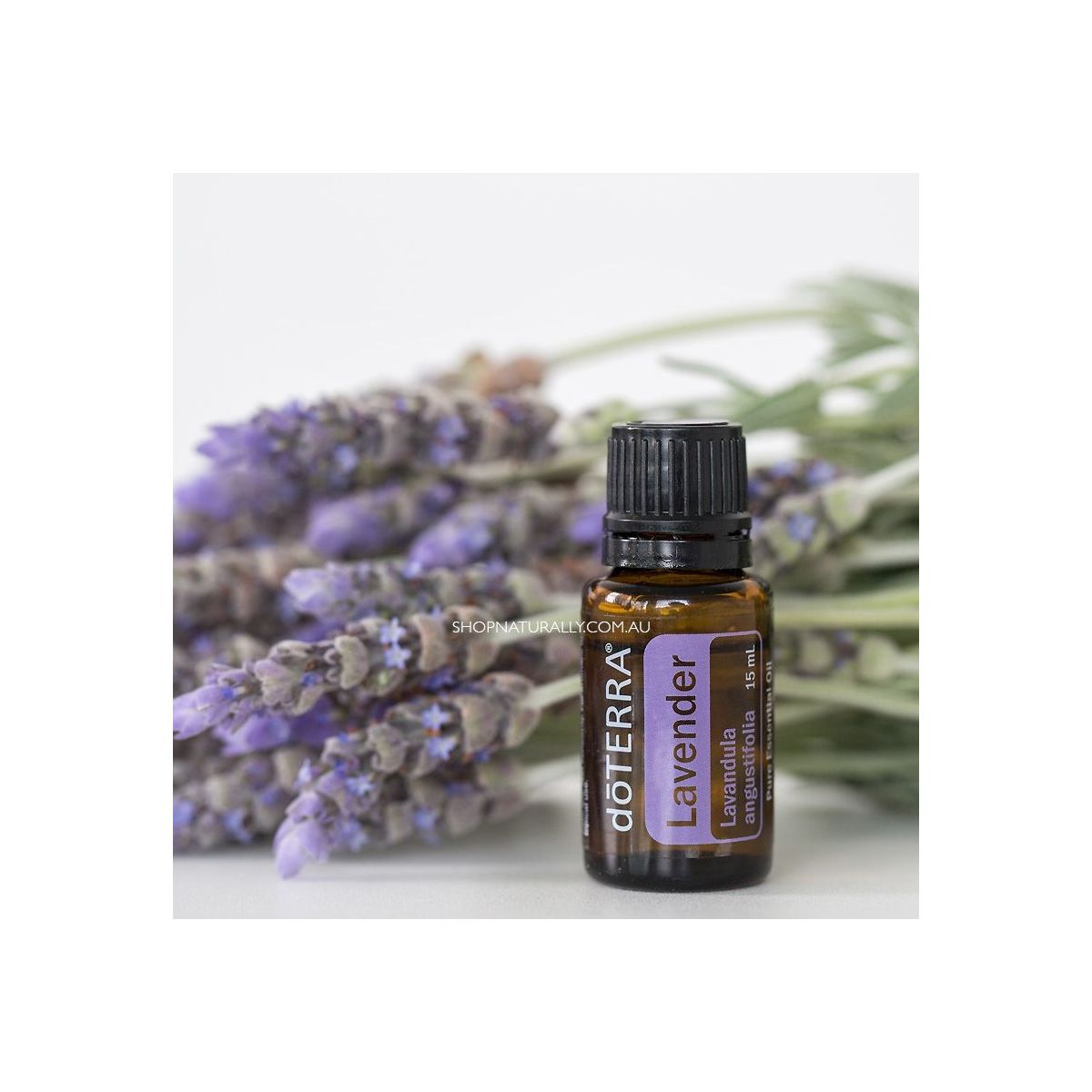 Buy doTERRA Lavender Essential Oil Online