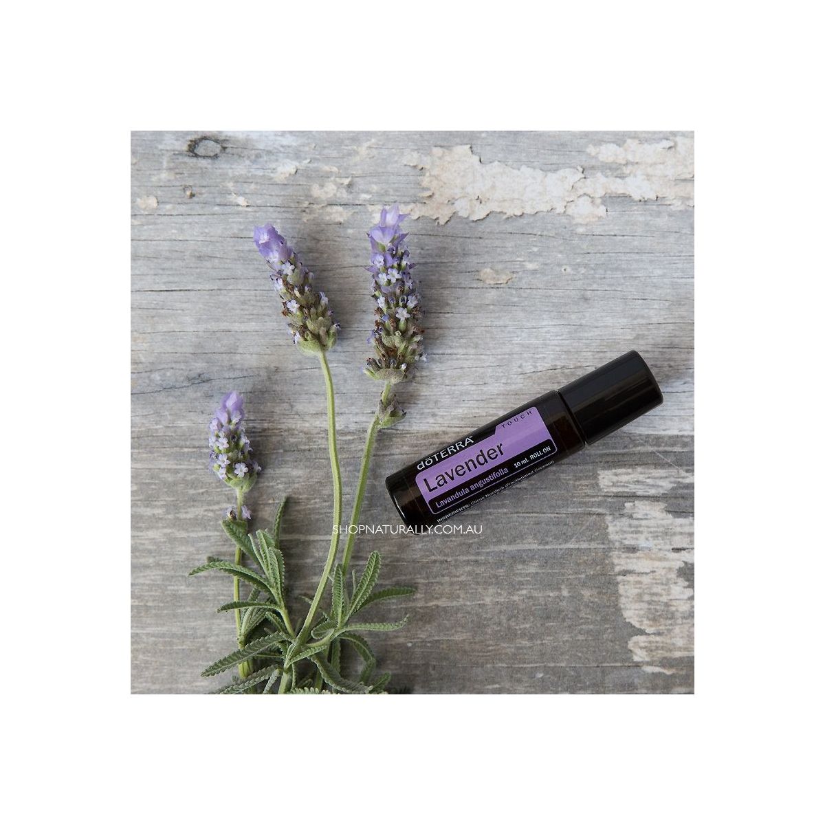 Buy doTERRA Lavender Touch Essential Oil rollon Online
