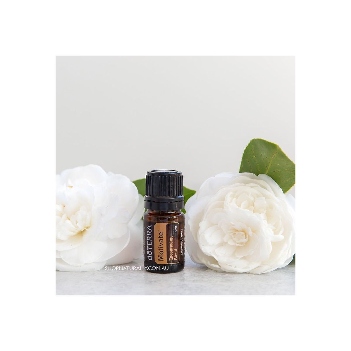 Buy doTERRA Motivate Emotional Essential Oil Blend Online