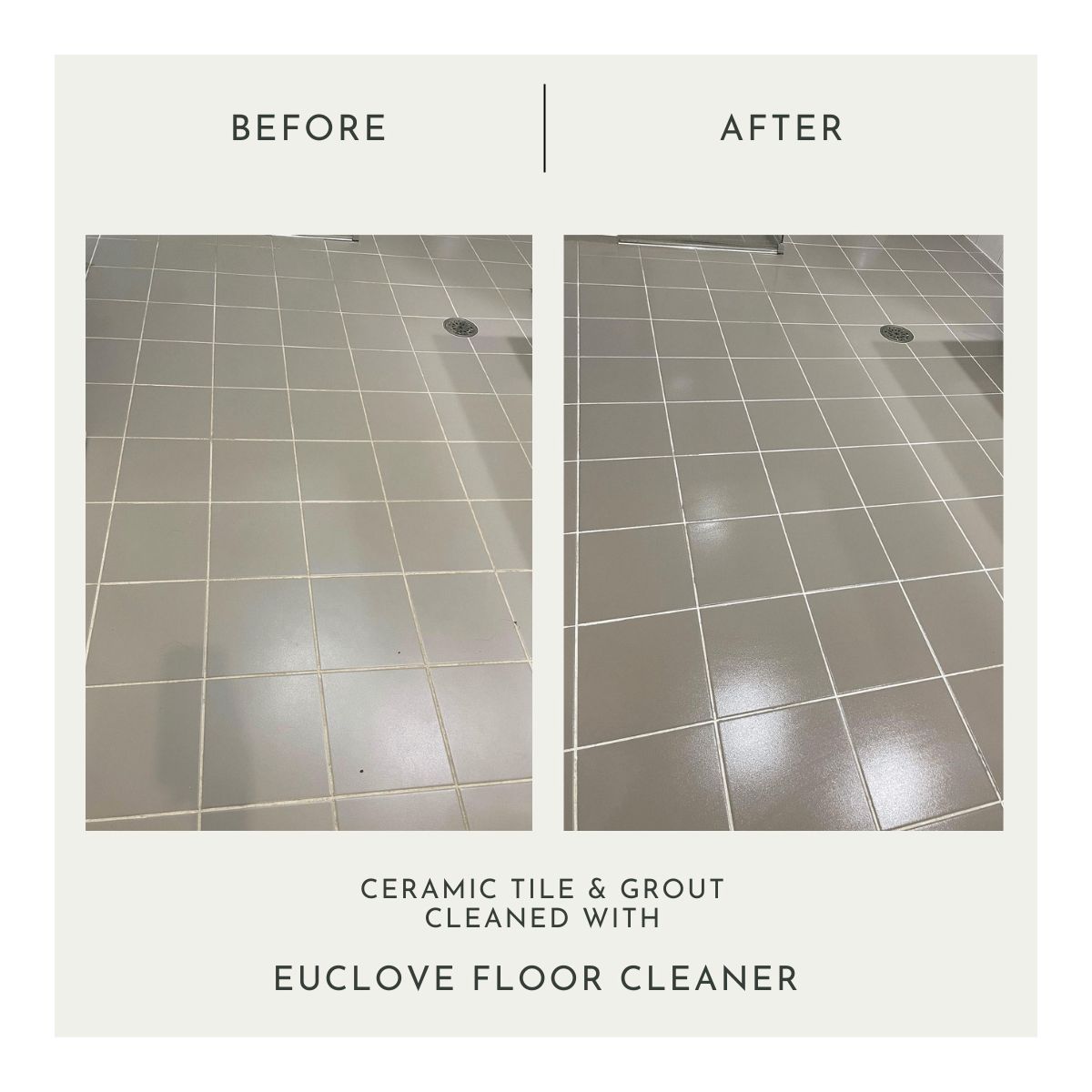 euclove-floor