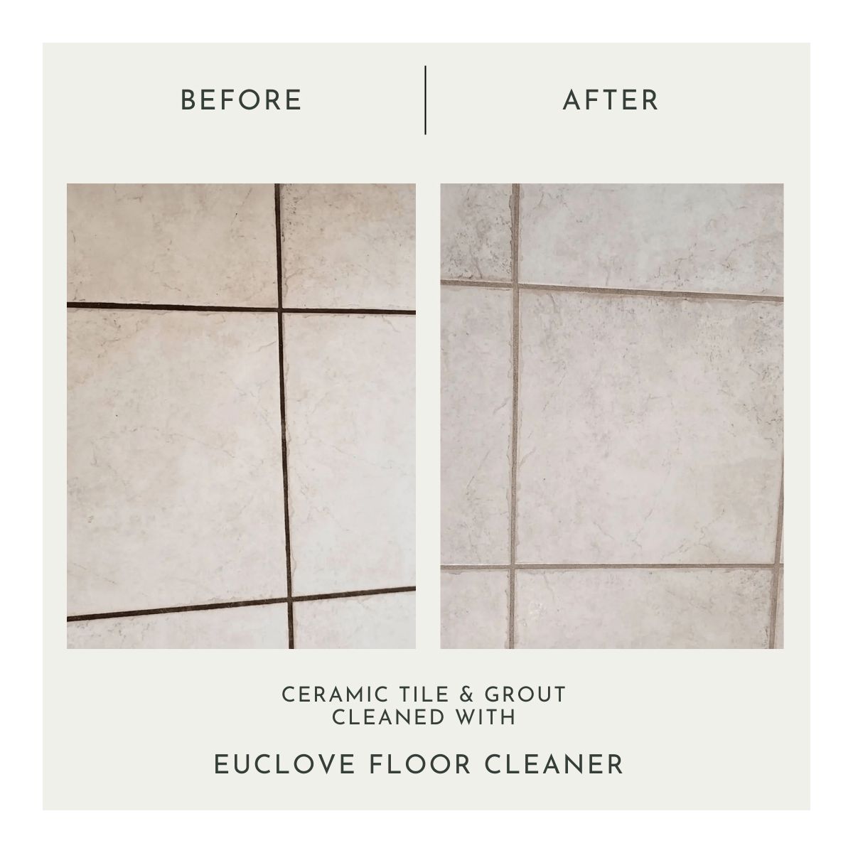 euclove-floor