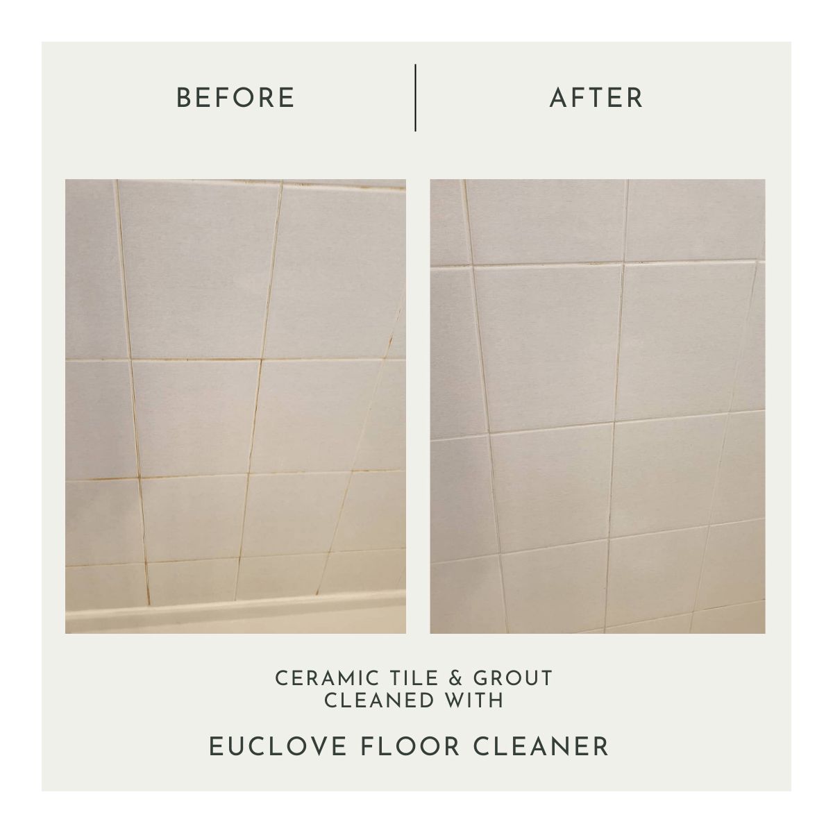 euclove-floor