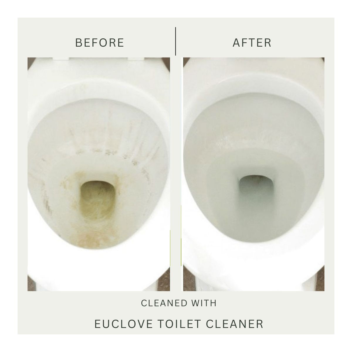 euclove-toilet