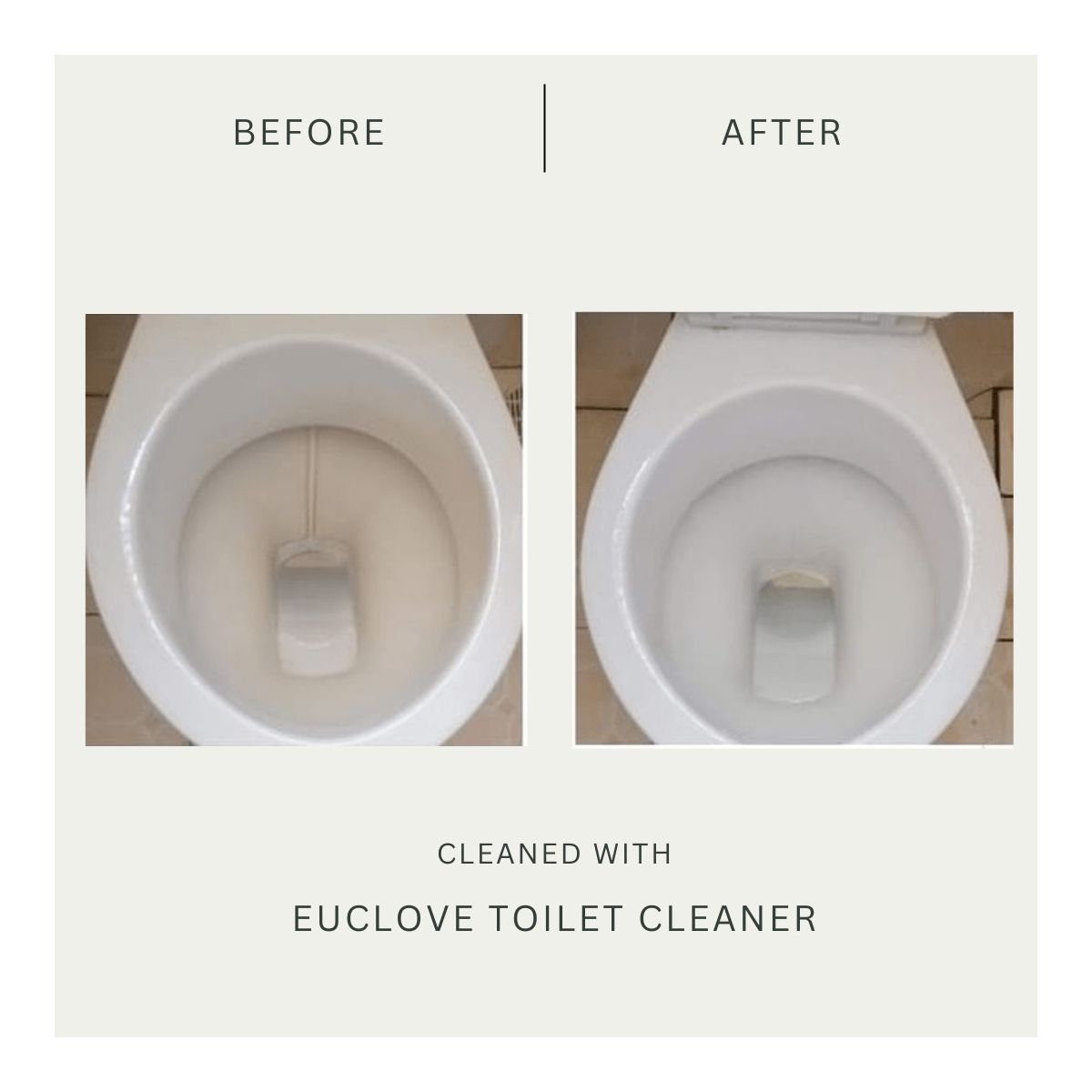 euclove-toilet