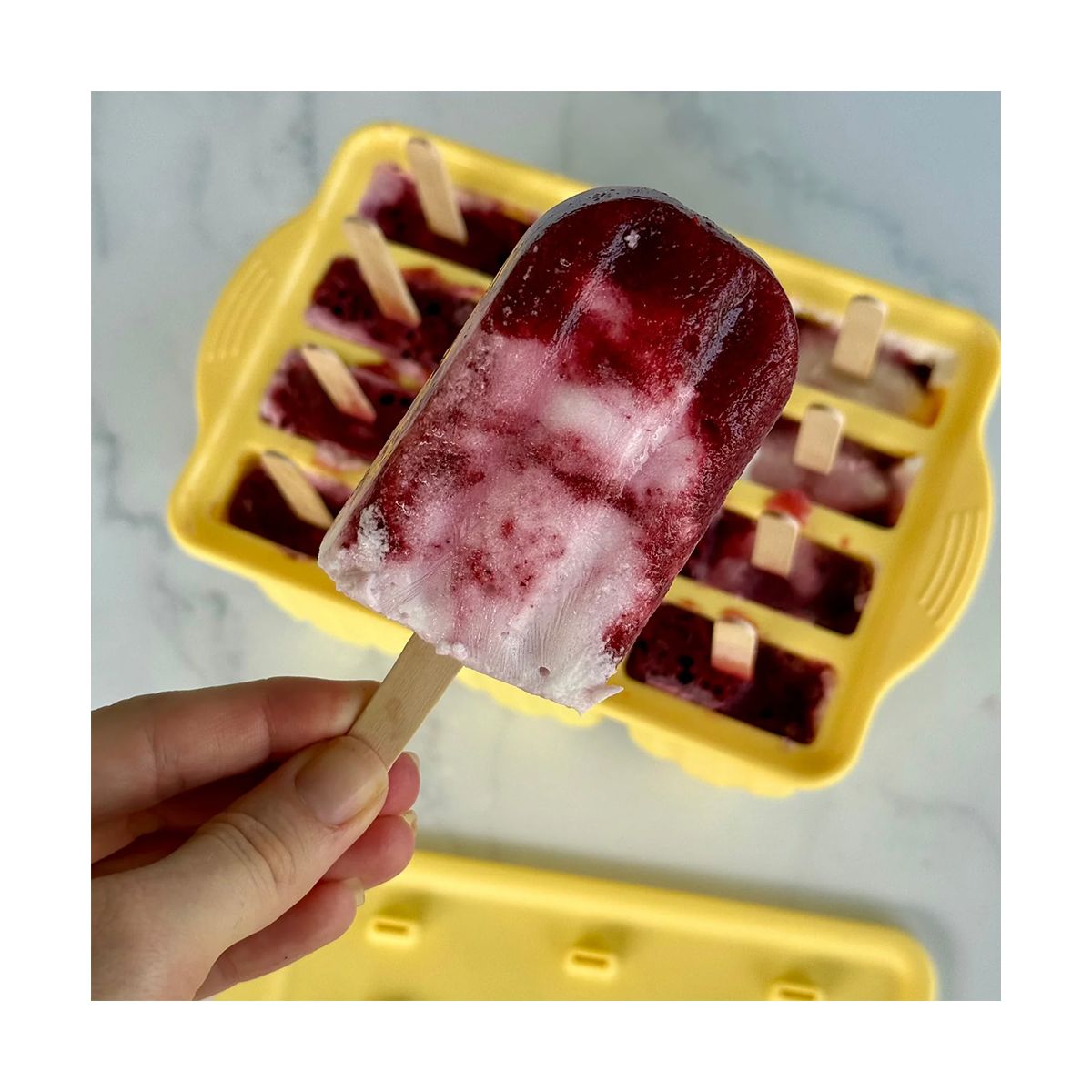 evereco-popscle-mould-tray-12