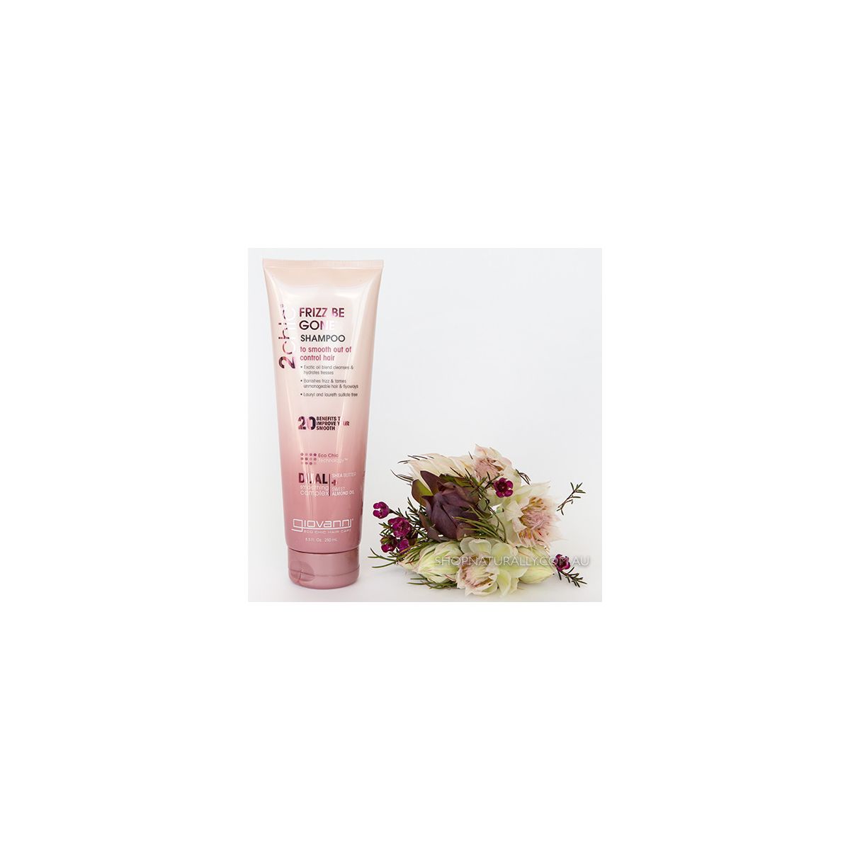 Giovanni 2chic Frizz Be Gone Shampoo 250ml