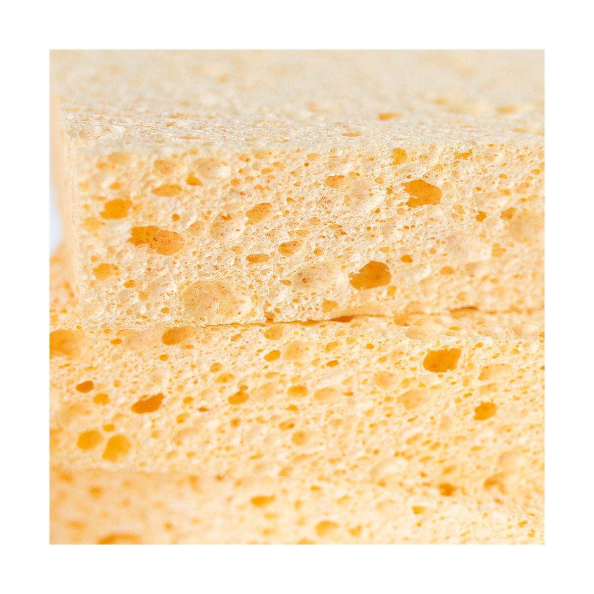 The Happy Sparrow Cellulose Kitchen Sponge