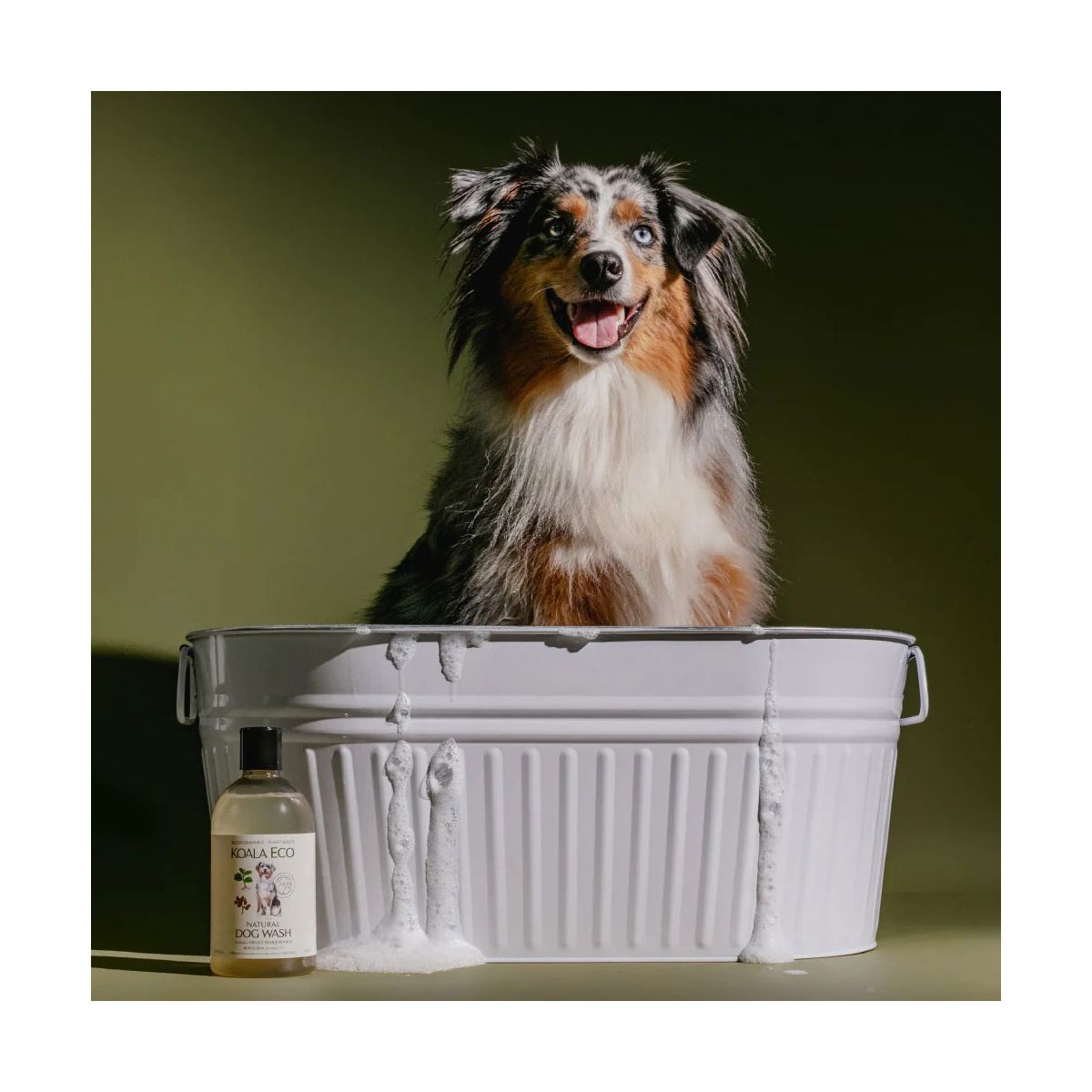 Buy Koala Eco Dog Wash online