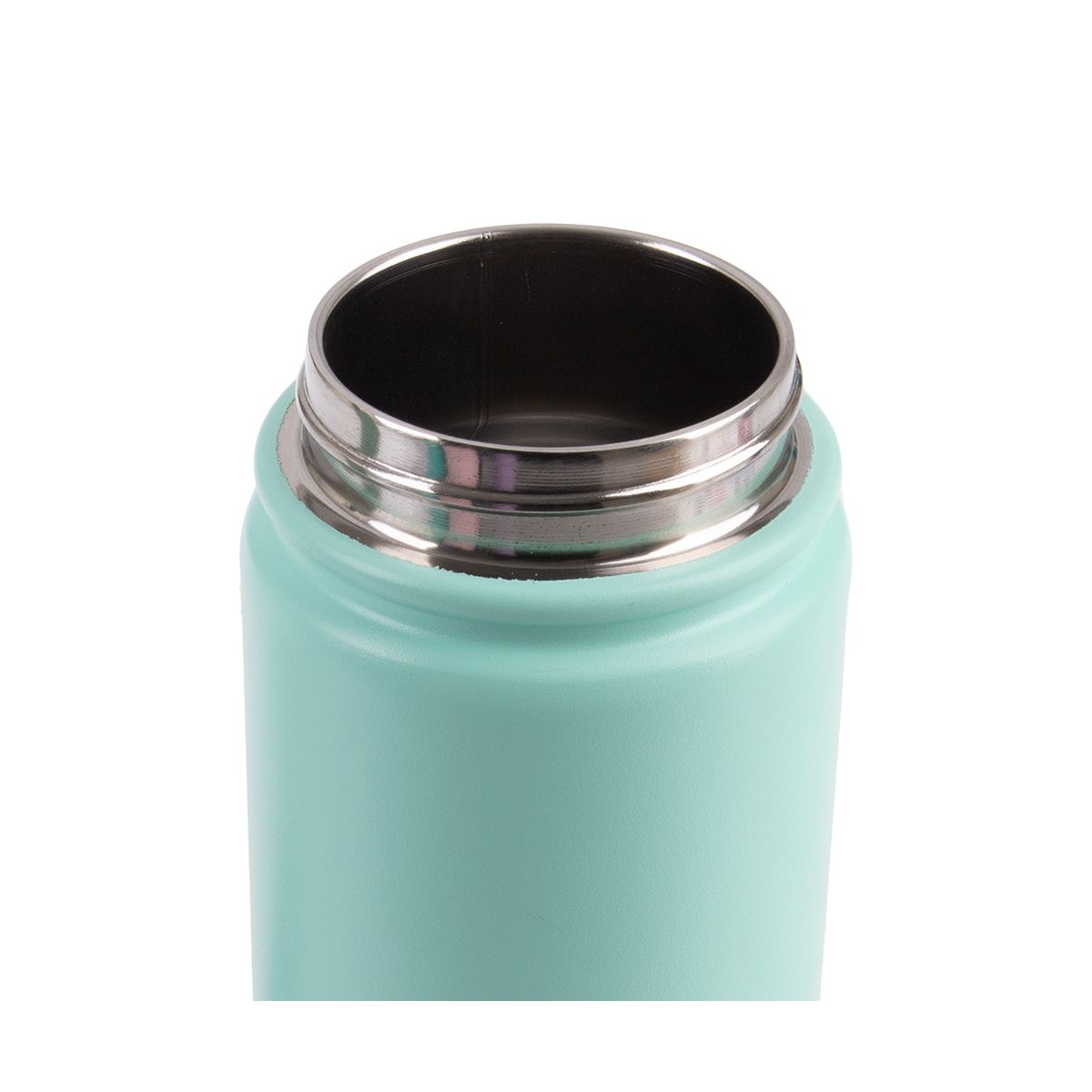 Buy Oasis 550ml insulated with screw lid in Mint