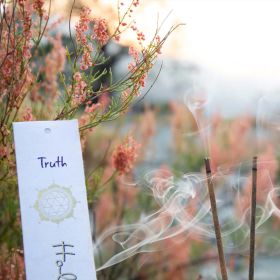 Buy  Holy Smoke Truth Incense Sticks