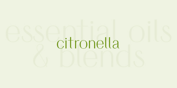 Shop online for the best citronella essential oil and blends