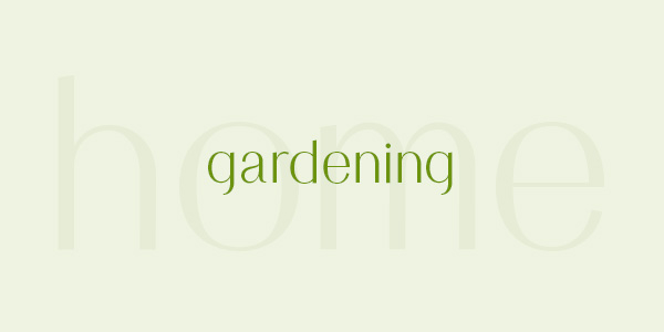 Shop eco friendly gardening supplies