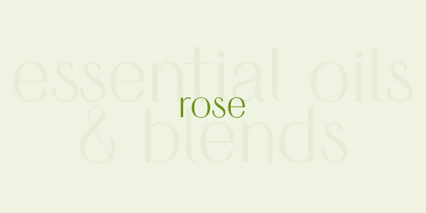 Shop online for the best rose essential oil and blends