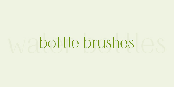 Buy water bottle cleaning brushes online