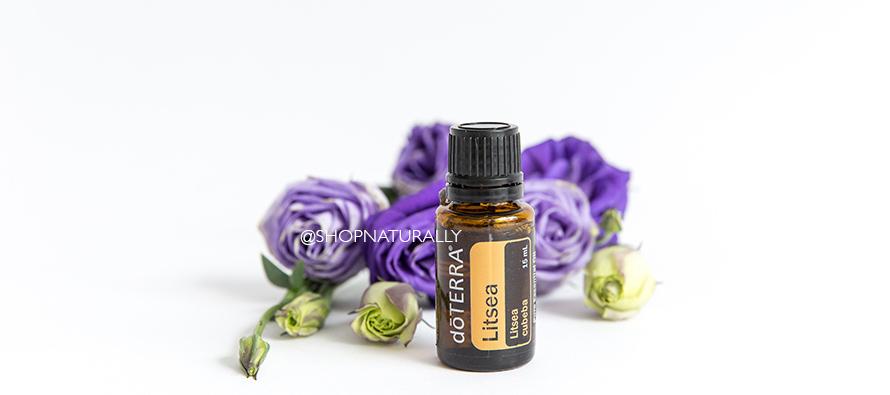 Litsea essential oil now available.