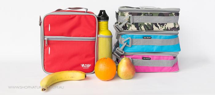 What Fits Inside the Fridge To Go Medium Insulated Lunch Bag