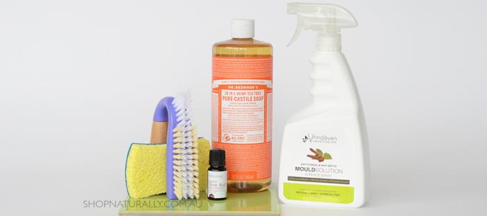 Cleaning mould with natural cleaning products