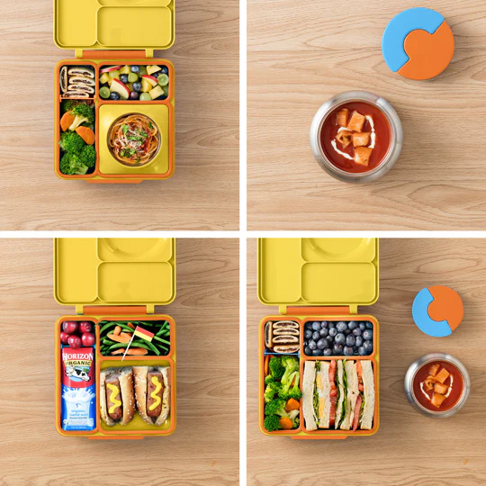 insulated bento box compartment layout